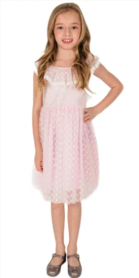 Little Girl's Pink Tulle Dress